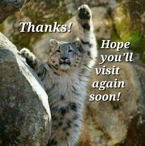 Thanks for stopping by!